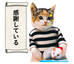 NAMENEKO3 sticker #14526740
