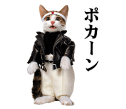 NAMENEKO3 sticker #14526742