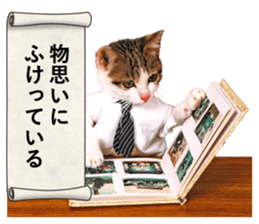 NAMENEKO3 sticker #14526743