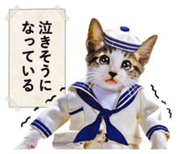 NAMENEKO3 sticker #14526745