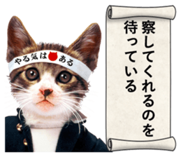 NAMENEKO3 sticker #14526746