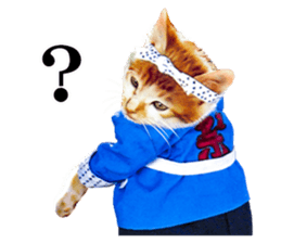 NAMENEKO3 sticker #14526747