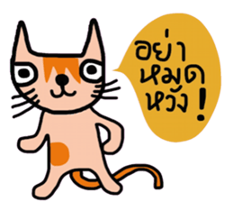 Little tiger, Sua noi (Sweet Cat) sticker #14526990