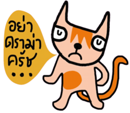 Little tiger, Sua noi (Sweet Cat) sticker #14527009