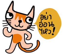 Little tiger, Sua noi (Sweet Cat) sticker #14527025