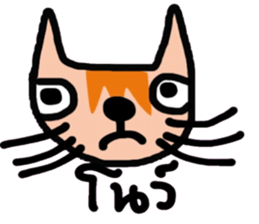 Little tiger, Sua noi (Sweet Cat) sticker #14527028