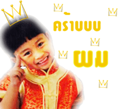 i'm the son sticker #14528399