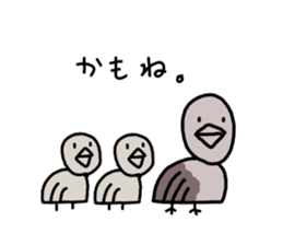 Chickens and chicks sticker #14529399