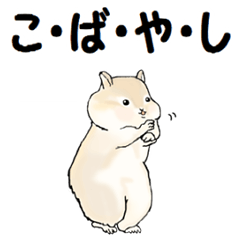 Sticker sent to the kobayashi Squirrel