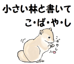 Sticker sent to the kobayashi Squirrel sticker #14530327