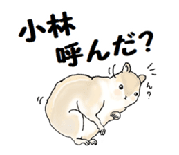 Sticker sent to the kobayashi Squirrel sticker #14530328
