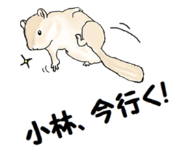 Sticker sent to the kobayashi Squirrel sticker #14530329
