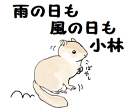 Sticker sent to the kobayashi Squirrel sticker #14530331