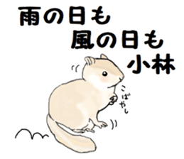 Sticker sent to the kobayashi Squirrel sticker #14530331