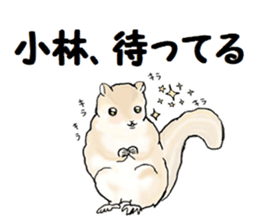 Sticker sent to the kobayashi Squirrel sticker #14530332