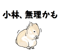 Sticker sent to the kobayashi Squirrel sticker #14530333