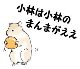 Sticker sent to the kobayashi Squirrel sticker #14530337
