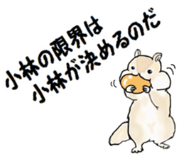 Sticker sent to the kobayashi Squirrel sticker #14530338