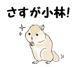 Sticker sent to the kobayashi Squirrel sticker #14530340