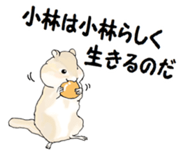 Sticker sent to the kobayashi Squirrel sticker #14530341