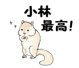 Sticker sent to the kobayashi Squirrel sticker #14530342