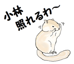 Sticker sent to the kobayashi Squirrel sticker #14530343