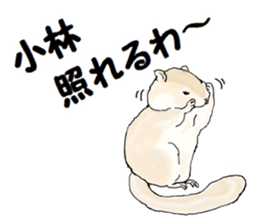 Sticker sent to the kobayashi Squirrel sticker #14530343