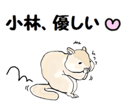 Sticker sent to the kobayashi Squirrel sticker #14530344