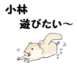 Sticker sent to the kobayashi Squirrel sticker #14530348