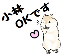 Sticker sent to the kobayashi Squirrel sticker #14530349