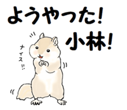 Sticker sent to the kobayashi Squirrel sticker #14530350