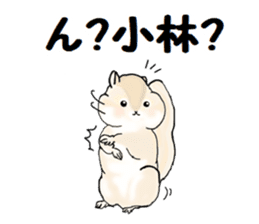 Sticker sent to the kobayashi Squirrel sticker #14530351