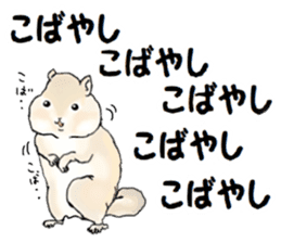 Sticker sent to the kobayashi Squirrel sticker #14530352