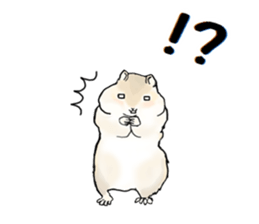 Sticker sent to the kobayashi Squirrel sticker #14530361