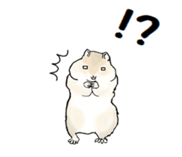 Sticker sent to the kobayashi Squirrel sticker #14530361