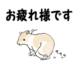 Sticker sent to the kobayashi Squirrel sticker #14530363