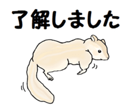 Sticker sent to the kobayashi Squirrel sticker #14530364