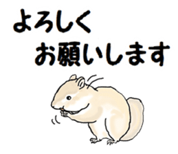 Sticker sent to the kobayashi Squirrel sticker #14530365