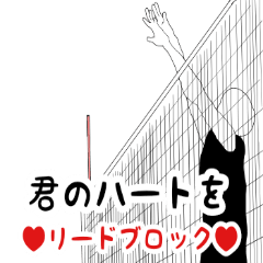 It says about volleyball terminology.