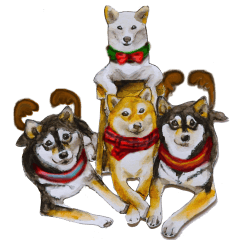 Shiba Inu Sisters and friends - 4