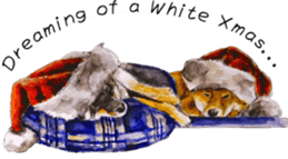 Shiba Inu Sisters and friends - 4 sticker #14536062