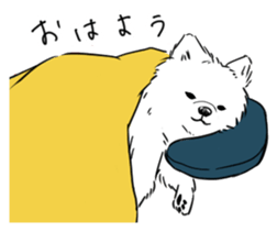 Pomeranian watachan Sticker2 sticker #14536118