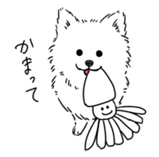 Pomeranian watachan Sticker2 sticker #14536119