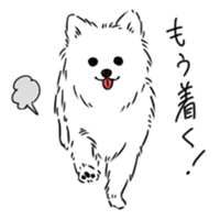 Pomeranian watachan Sticker2 sticker #14536120