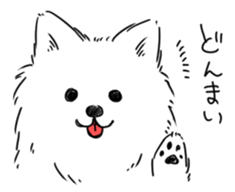 Pomeranian watachan Sticker2 sticker #14536124