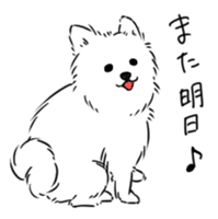 Pomeranian watachan Sticker2 sticker #14536125