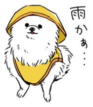 Pomeranian watachan Sticker2 sticker #14536128