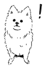 Pomeranian watachan Sticker2 sticker #14536133