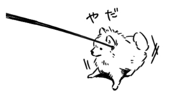 Pomeranian watachan Sticker2 sticker #14536134