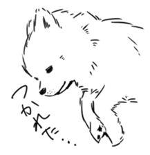 Pomeranian watachan Sticker2 sticker #14536135